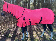 Horse Sheets & Blankets